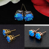 Pacific Sapphire Opal Stud Earrings