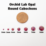 Orchid Opal Round Cabochon