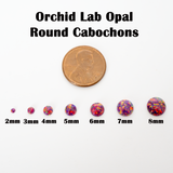 Orchid Opal Round Cabochon