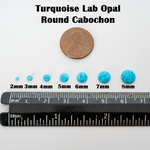 Turquoise Opal Round Cabochon