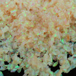 Frozen Peach Crushed Opal
