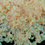 Frozen Peach Crushed Opal