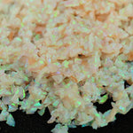 Frozen Peach Crushed Opal