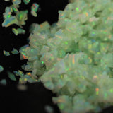 Key Lime Crushed Opal