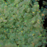Key Lime Crushed Opal
