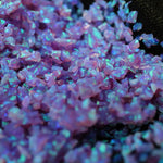 Cheshire Crushed Opal