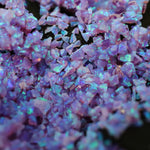 Cheshire Crushed Opal