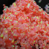 Deep Sea Coral Crushed Opal