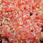 Deep Sea Coral Crushed Opal