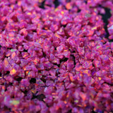 Fuchsia Crushed Opal