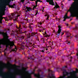 Fuchsia Crushed Opal