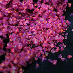 Fuchsia Crushed Opal