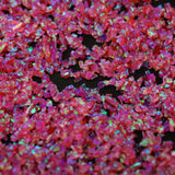 Hibiscus Crushed Opal