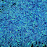 Pacific Sapphire Crushed Opal