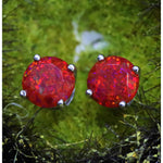 Ruby Red Opal Stud Earrings